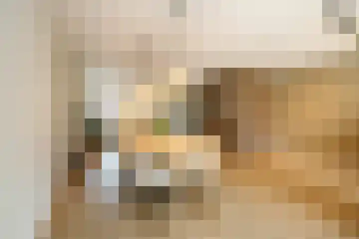 Kraagroos 10 Zevenhuizen thumbnail 16
