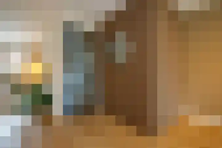Kraagroos 10 Zevenhuizen thumbnail 17