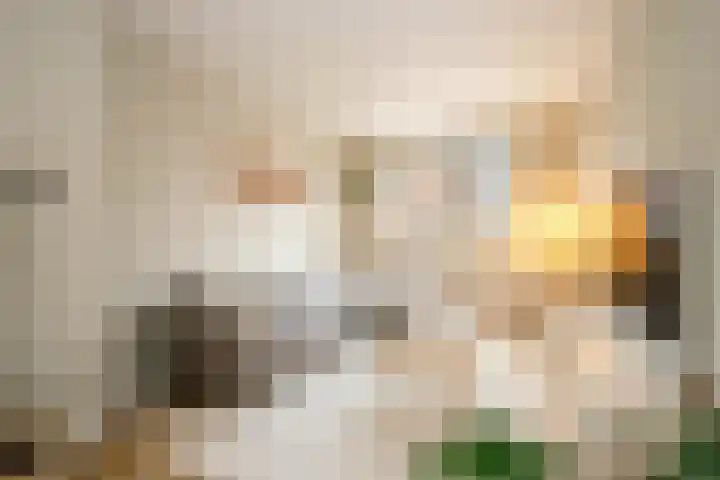 Kraagroos 10 Zevenhuizen thumbnail 18