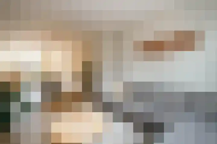 Kraagroos 10 Zevenhuizen thumbnail 19