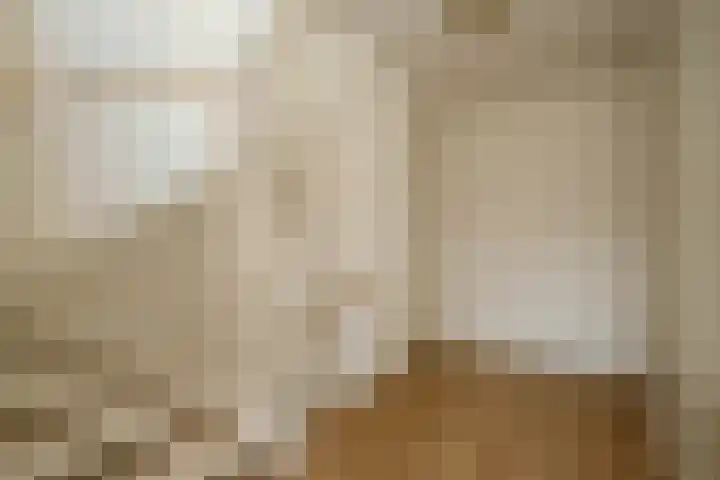 Kraagroos 10 Zevenhuizen thumbnail 22