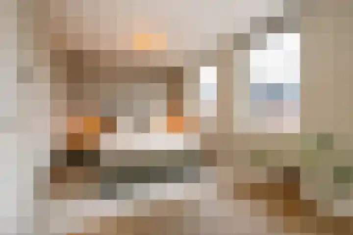 Kraagroos 10 Zevenhuizen thumbnail 23