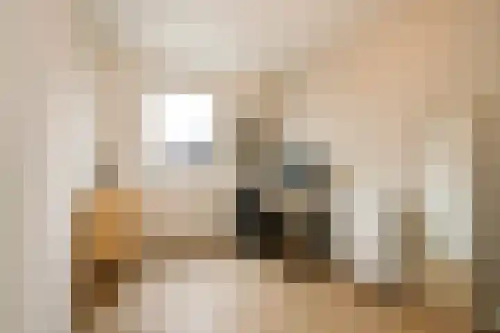 Kraagroos 10 Zevenhuizen thumbnail 27