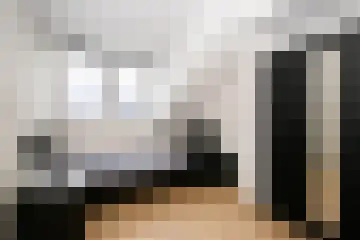 Kraagroos 10 Zevenhuizen thumbnail 31