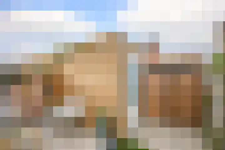 Kraagroos 10 Zevenhuizen thumbnail 39