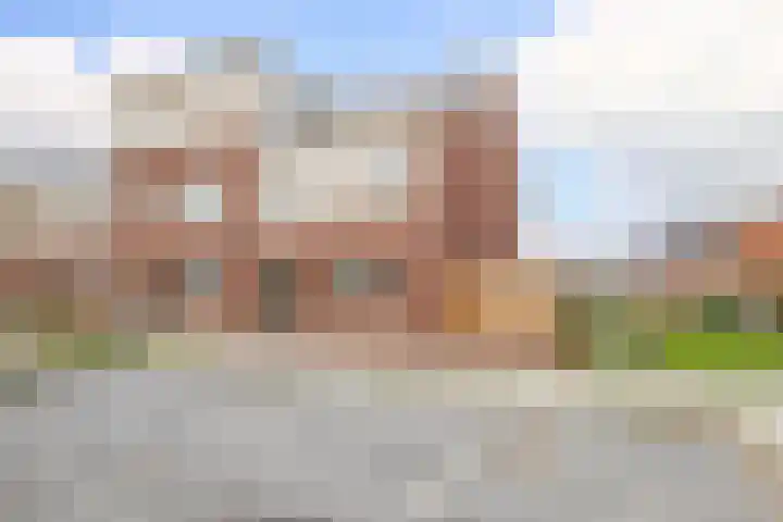 Kraagroos 10 Zevenhuizen thumbnail 4