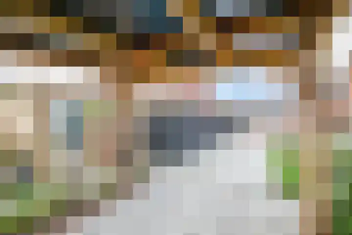 Kraagroos 10 Zevenhuizen thumbnail 41
