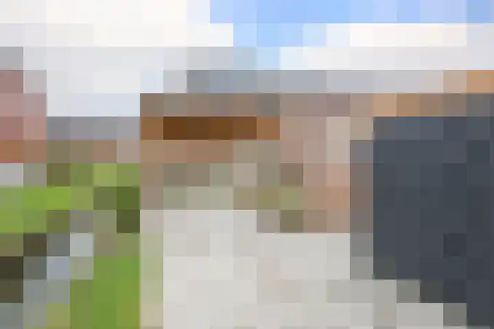 Kraagroos 10 Zevenhuizen thumbnail 42