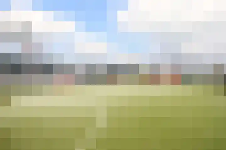 Kraagroos 10 Zevenhuizen thumbnail 48