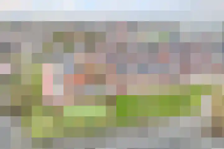 Kraagroos 10 Zevenhuizen thumbnail 51