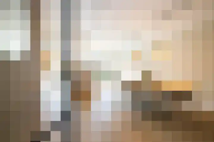 Kraagroos 10 Zevenhuizen thumbnail 7