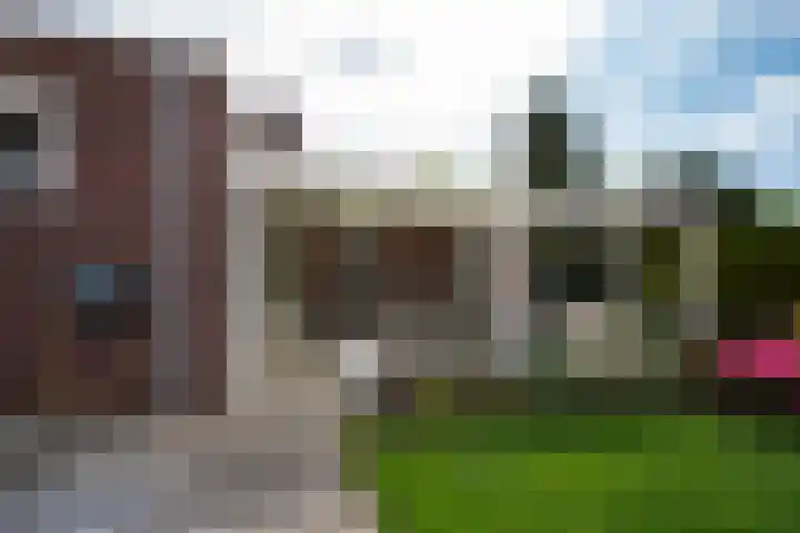Kraaiakkerweg 41 Haelen thumbnail 31