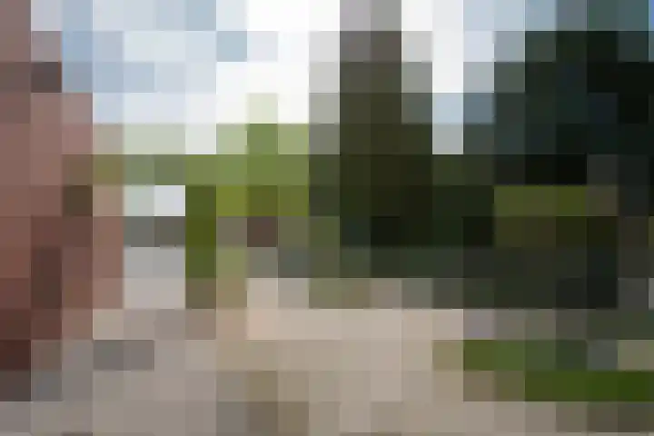 Kraaiakkerweg 41 Haelen thumbnail 32