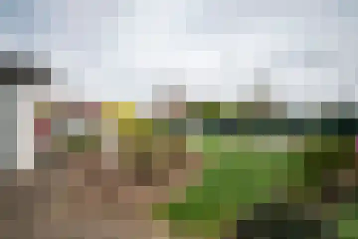 Kraaiakkerweg 41 Haelen thumbnail 33