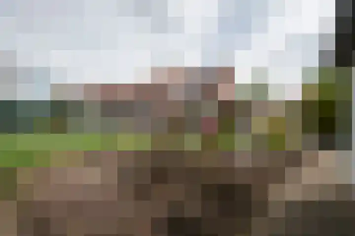 Kraaiakkerweg 41 Haelen thumbnail 34