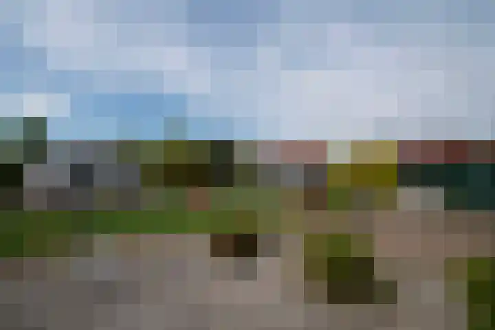 Kraaiakkerweg 41 Haelen thumbnail 35