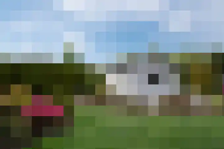 Kraaiakkerweg 41 Haelen thumbnail 38