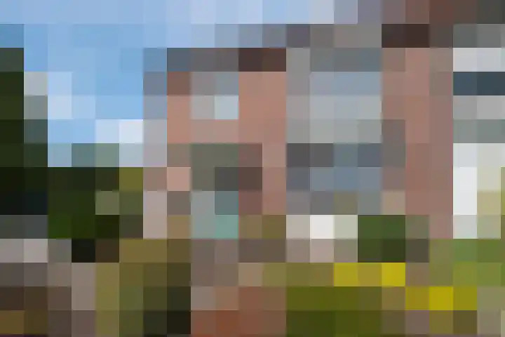 Kraaiakkerweg 41 Haelen thumbnail 6