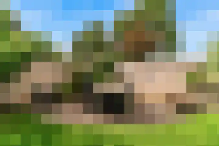 Kraaiebuurt 1 Opperdoes thumbnail 32