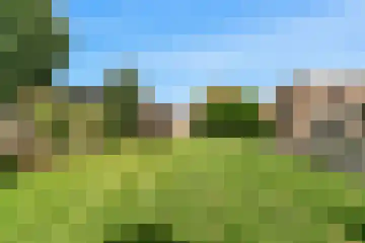 Kraaiebuurt 1 Opperdoes thumbnail 36