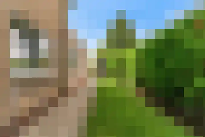 Kraaiebuurt 1 Opperdoes thumbnail 44