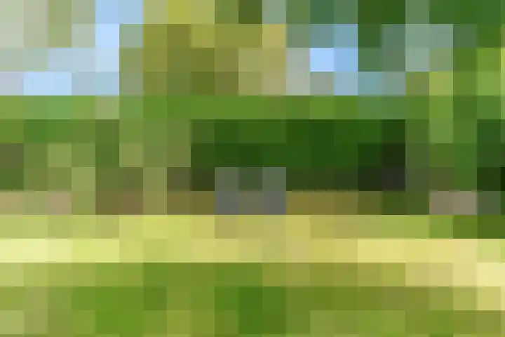 Kraaiebuurt 1 Opperdoes thumbnail 47