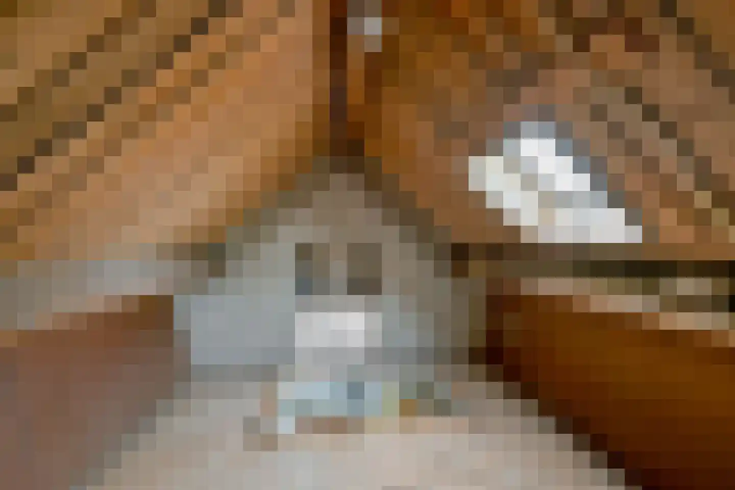 Kraaiebuurt 3 Opperdoes thumbnail 31