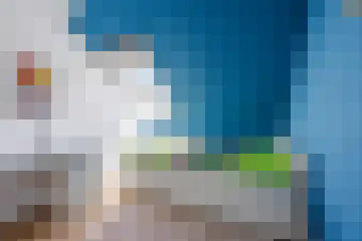 Kraaiekamp 12 Elst thumbnail 33