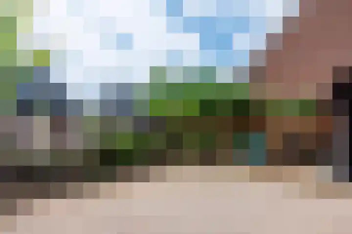 Kraaiekamp 12 Elst thumbnail 50