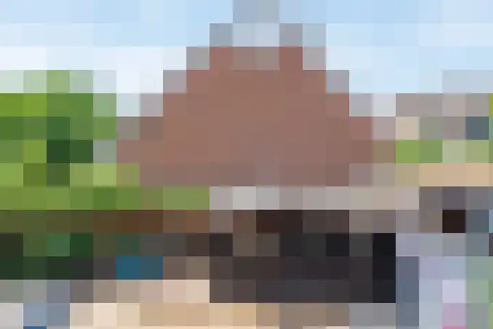 Kraaiekamp 12 Elst thumbnail 52