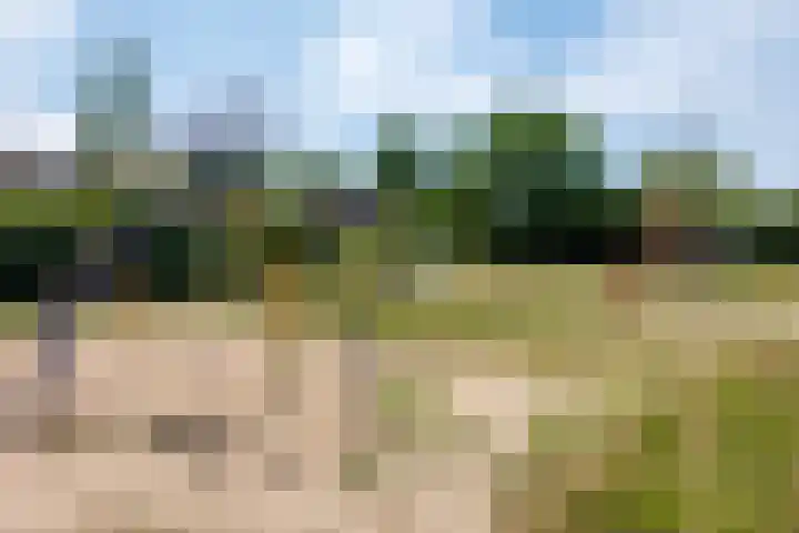 Kraaiekamp 12 Elst thumbnail 57