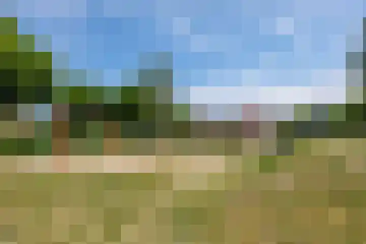 Kraaiekamp 12 Elst thumbnail 58