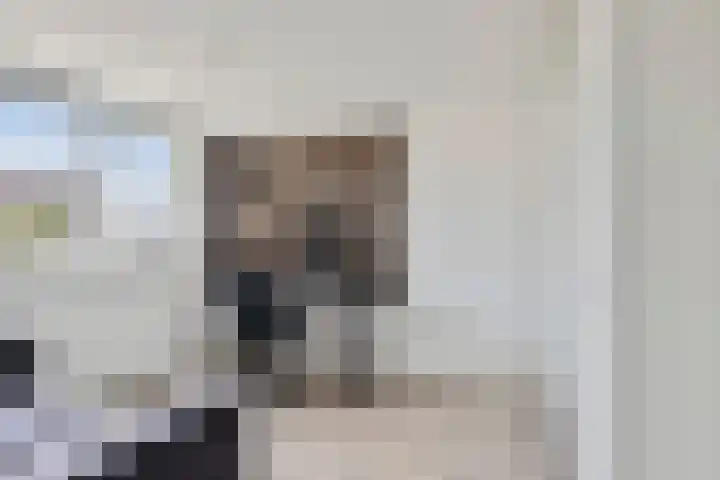 Kraaiekamp 61 Elst thumbnail 22