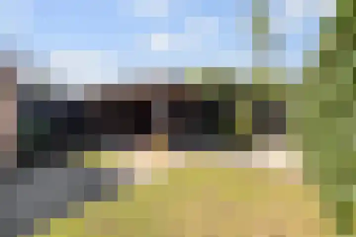 Kraaiekamp 61 Elst thumbnail 27