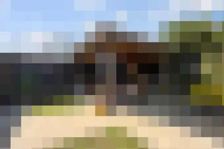 Kraaiekamp 61 Elst thumbnail 28