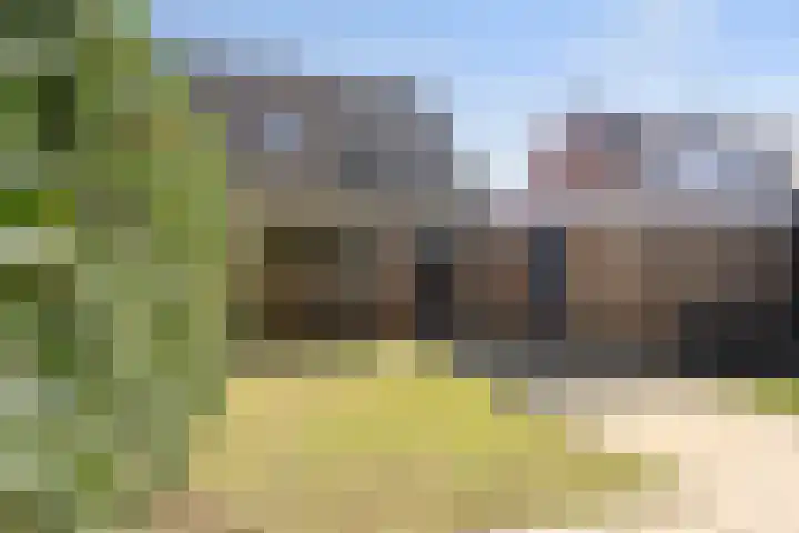 Kraaiekamp 61 Elst thumbnail 29
