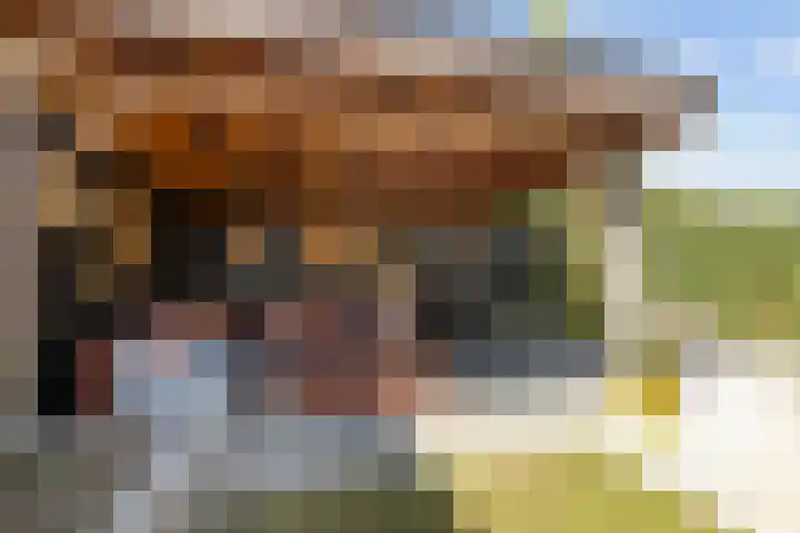 Kraaiekamp 61 Elst thumbnail 30