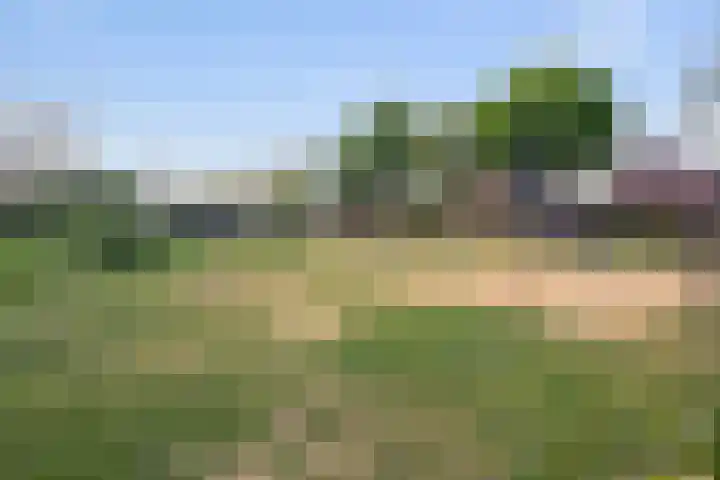 Kraaiekamp 61 Elst thumbnail 31