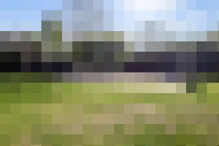 Kraaiekamp 61 Elst thumbnail 32