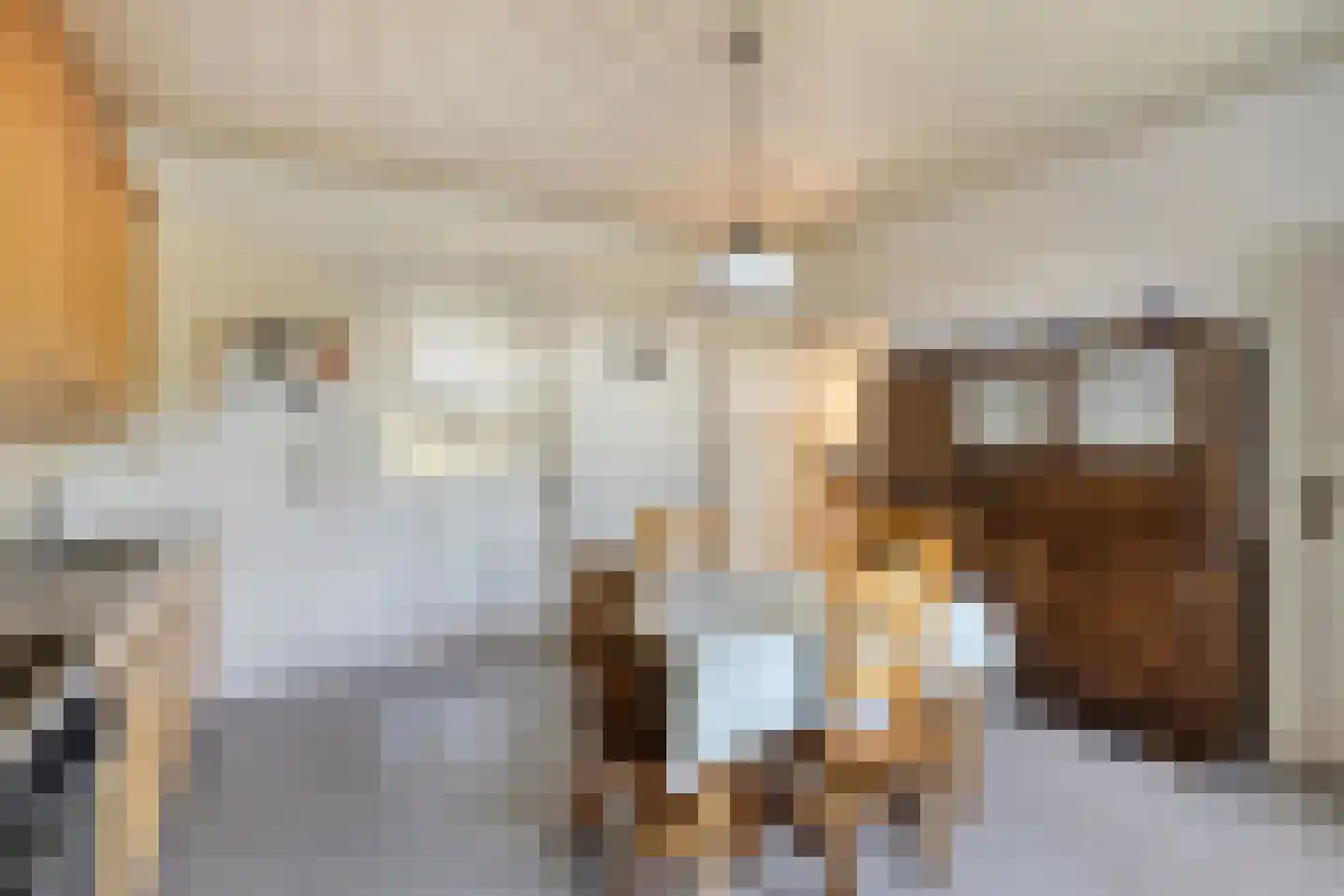 Kraaiendijk 20 Someren thumbnail 17