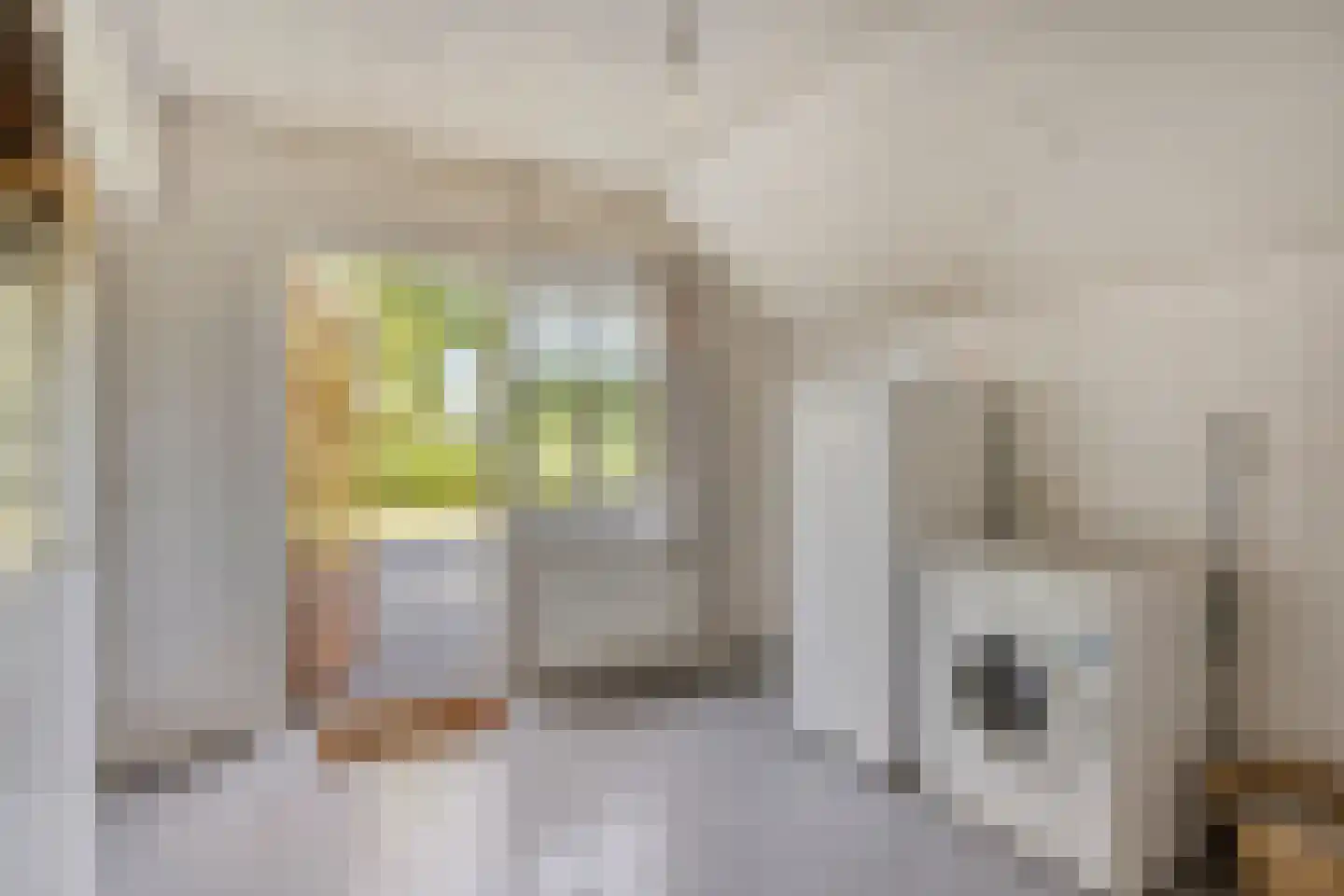 Kraaiendijk 20 Someren thumbnail 18