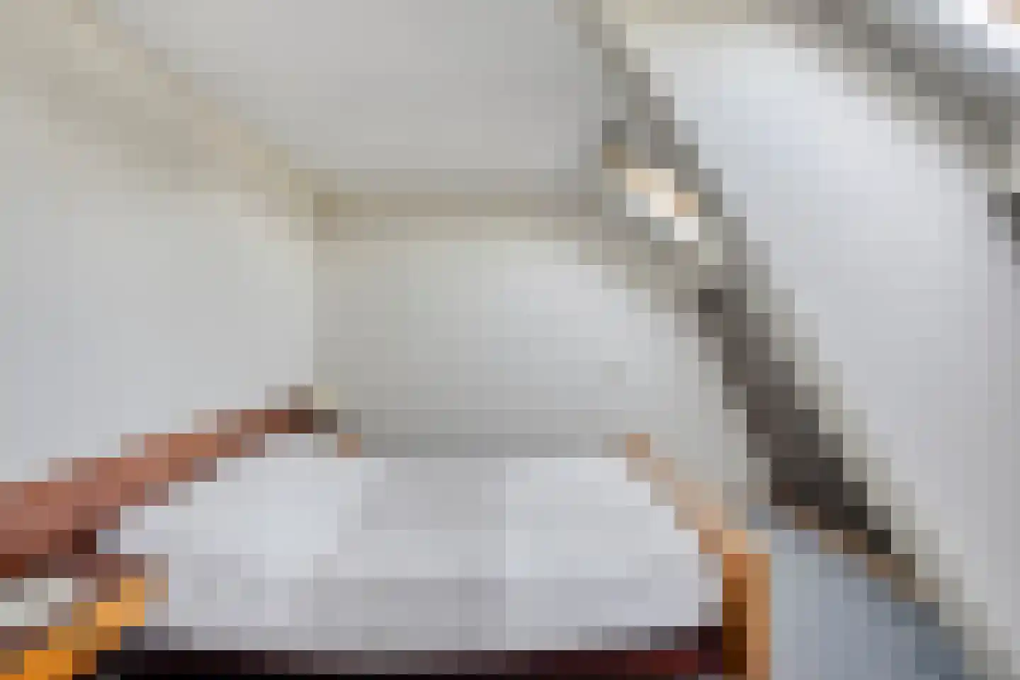 Kraaiendijk 20 Someren thumbnail 28