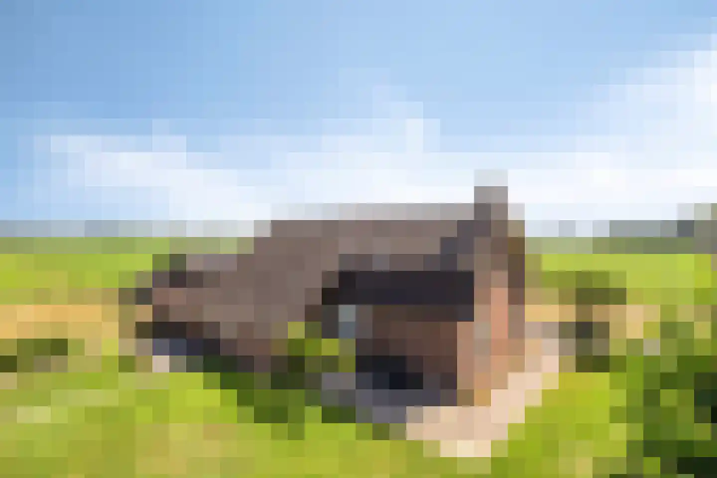 Kraaiendijk 20 Someren thumbnail 37