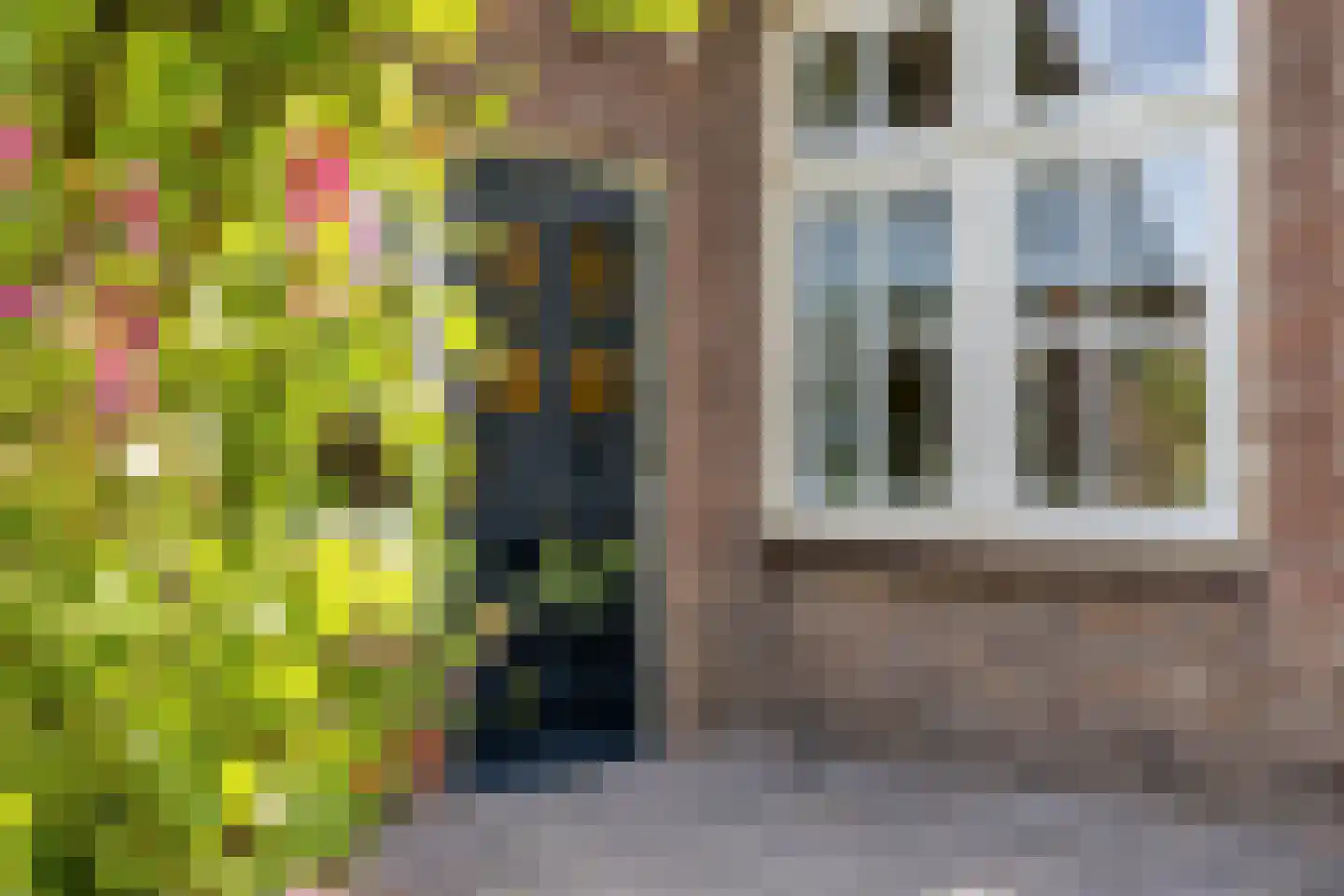 Kraaiendijk 20 Someren thumbnail 48