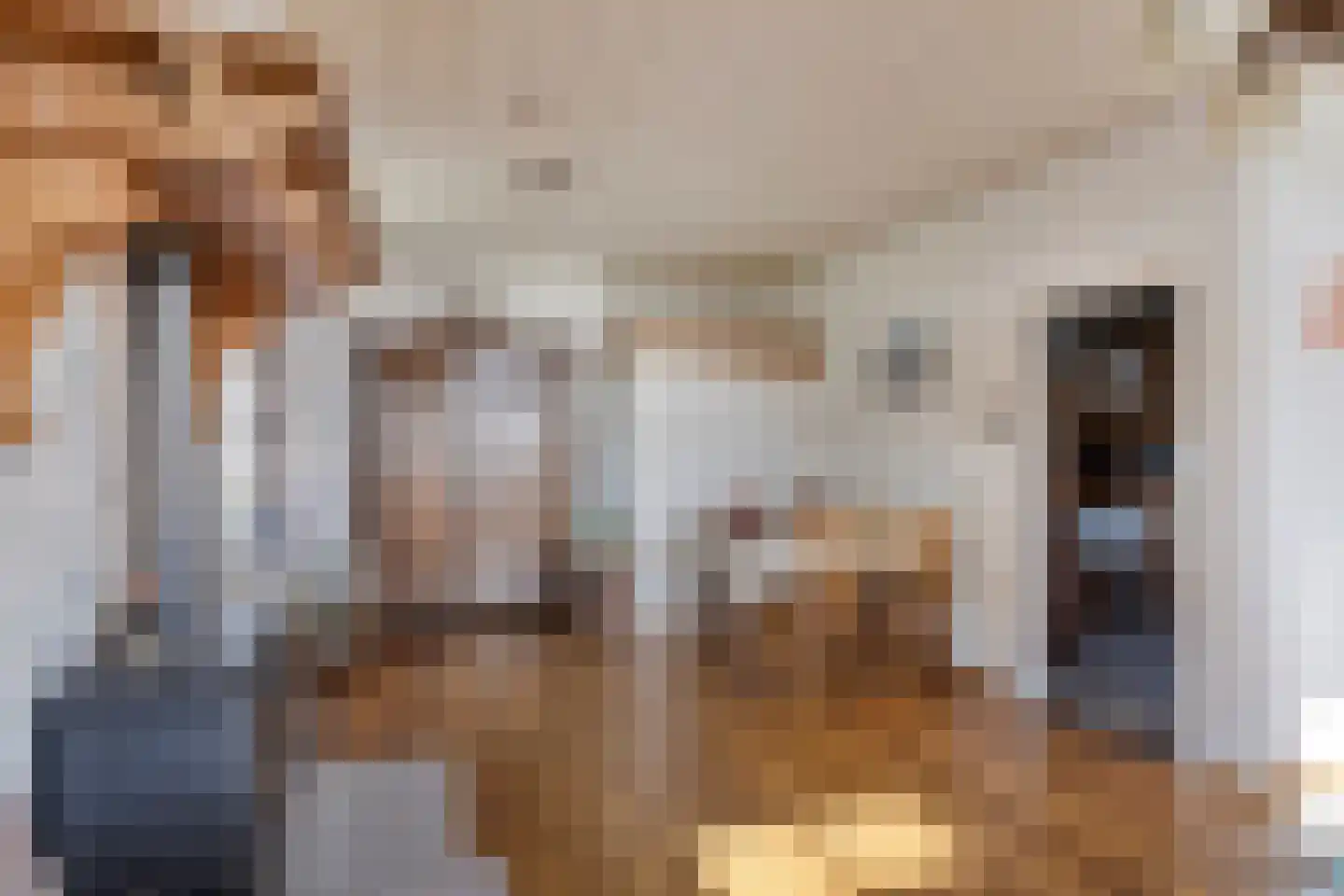 Kraaiendijk 20 Someren thumbnail 9