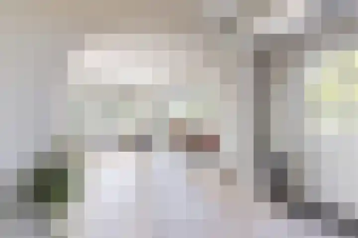 Kraaiendijk 7 Heijningen thumbnail 10