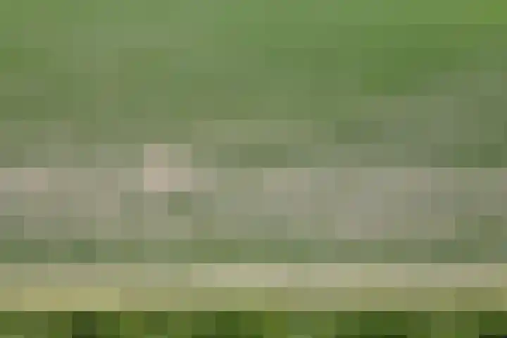 Kraaiendijk 7 Heijningen thumbnail 101