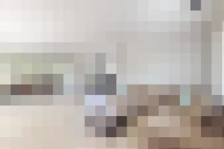 Kraaiendijk 7 Heijningen thumbnail 14