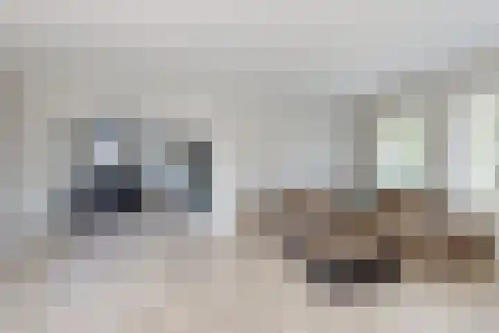 Kraaiendijk 7 Heijningen thumbnail 15