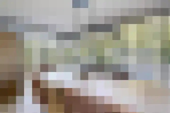 Kraaiendijk 7 Heijningen thumbnail 22